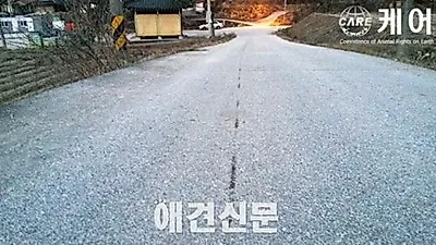 이 사람은 개를 유괴했고, 차량에 매단 채 달렸다