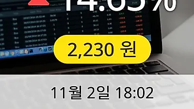 인디에프 2일 2,230원 마감