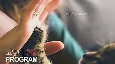 참여 하세요 나누세요 우리들의 고양이를 위해