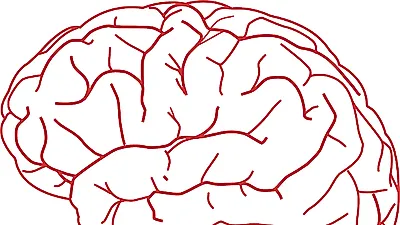 전조증상 보이면 바로 병원으로…골든타임을 잡아야 하는 뇌졸중 "꾸준한 운동을 예방"