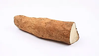 유산균의 먹이가 되는 프리바이오틱스, 섭취시 배변활동이 원활해져
