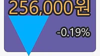 삼성화재마감가 256,000원 전일비 -0.19퍼센트등락..