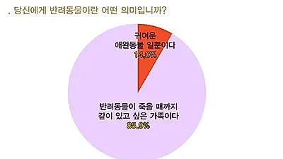 반려동물 '장례' 필요한가?, 시민 94.7% "그렇다" 응답