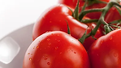토마토의 인기 비결은? 효능 부터 칼로리 까지…'잘 알고 먹어야…'