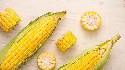 고소한 간식, '옥수수' 효능 및 칼로리는?