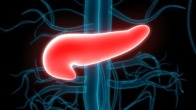 절제술 까다로운 췌장위치, 췌장암 초기증상 잡아내는 것이 중요해…췌장에 좋은 음식 '양배추즙'?