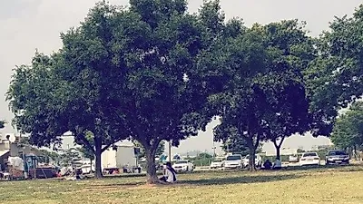 크러쉬 반려견, 평화로운 산책길 "스마일"