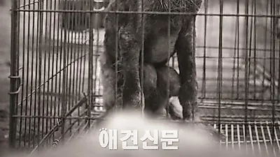 김삼열 작가의 포토에세이 #3  '망울이'