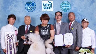 '2014 대구 엑스코 KKF 애견미용 컨테스트' 성공 개최