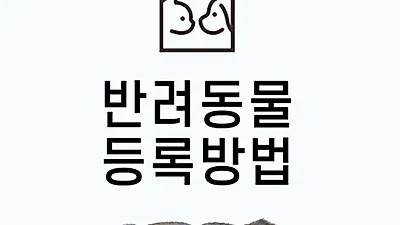 반려인 천만시대 필수 ‘반려동물 등록’, 3가지로 구분되는 방법