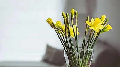 공기청정기 순위? 최고보단 최적