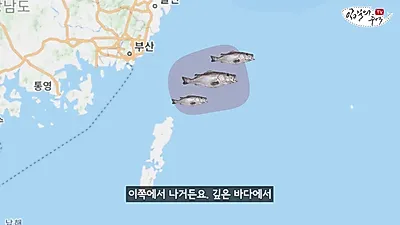 La razón por la que el número superior en las básculas electrónicas de los mercados de pescado no es el peso, sino el precio