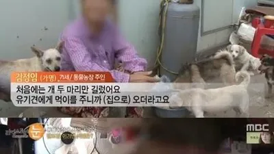 '리얼스토리 눈', 유기동물 100마리 기르는 농장 할머니 사연 공개