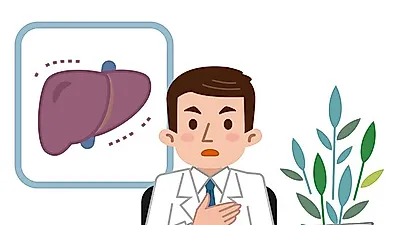 오른쪽 배가 아픈  지방간의 증상,  치료하는 방법은?…  과도한 음주는 금물