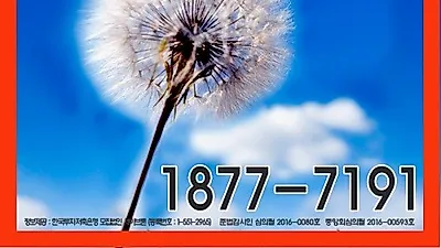 햇살론, 사잇돌 이자절감 효과 커, 대출 자격조건 나도 해당할까?