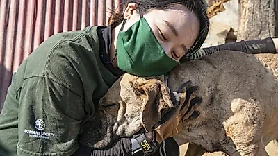충남 해미 개농장서 구조된 개 200여 마리…美로 건너가 '꽃길' 걷는다