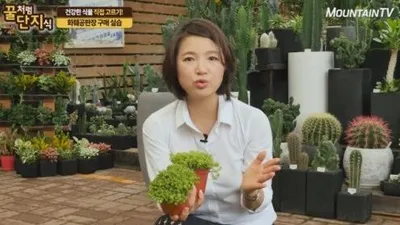 건강한 식물 고르기는 방법은