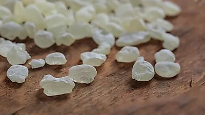 매스틱,  면역력 높이는 음식의 효과…   "알레르기 유발할 수 있어"