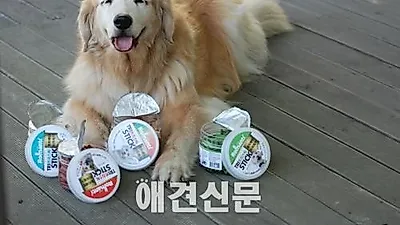 애견신문사, 4일부터 애완용품 체험단 매일 진행