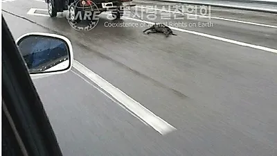 동물보호법 개정위한 서명운동 진행