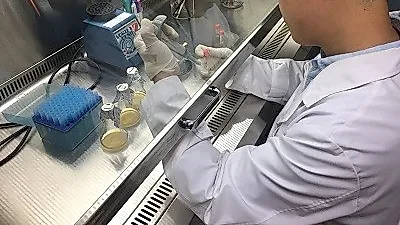 반려동물용 건강기능성 간식업체 '오복누리' 제품 출시 앞둬