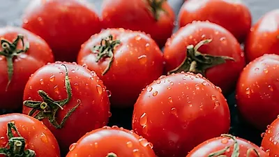 뽀득뽀득 닦아서 한입! 혈당지수 낮은 다이어트 음식 '토마토·방울토마토' 효능과 토마토 주스만드는법