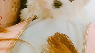 김남주 핑크와 함께한 일상