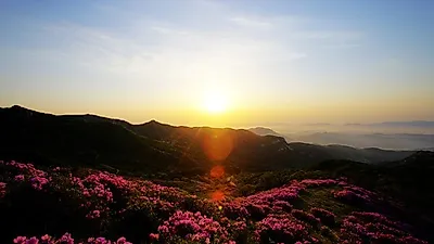 우리나라의 역사를 머금은 해인사가 자리잡은 경남 합천가볼만한곳