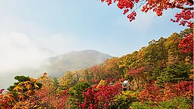 [11월 여행지 추천] 곤지암 화담숲으로 서울 근교 당일치기 여행 떠나 곤지암 리조트에서 숙박 해결!