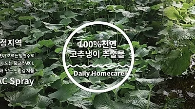 위블로우, 황금돼지의 해 2019 맞이 홈페이지 100일의 행복 이벤트 진행