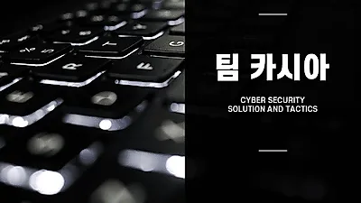 팀카시아, 24시간 내내 몸캠피씽 및 일반 피싱 범죄에 대항하는 솔루션 개발