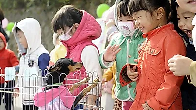 서울시 광진구, '제3회 유기동물과의 만남의 날' 개최