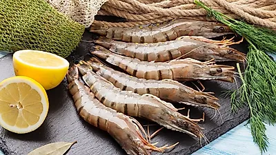 '최대 33cm' 엄청난 크기 자랑하는 블랙타이거새우 손질법…김수미표 간장새우찜으로 즐겨보자!