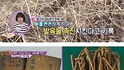 우슬 효능 뭐길래? '무릎 통증 완화'는 물론 발육 촉진까지 단, 우슬 부작용 반드시 확인해야