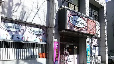 [탐방] 대구 애견의류공장 '마리앤마리'