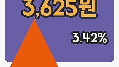 드래곤플라이 3일 3,625원 장종보고