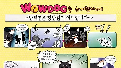 [와우독]반려견은 장난감이 아니랍니다~