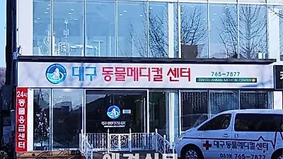 대구동물메디컬센터를 가다.