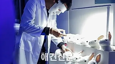 동물실험 화장품 판매 금지된다...'화장품법 개정안' 국회 본회의 통과