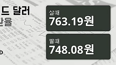 21일 뉴질랜드 달러 살때 763.19원, 팔때 748.08원 ▼-0.23%감소