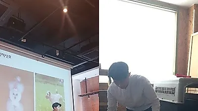 애견훈련소과 반려견 방문훈련의 차이