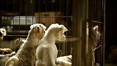 김삼열 작가의 포토에세이 #5'기다림'