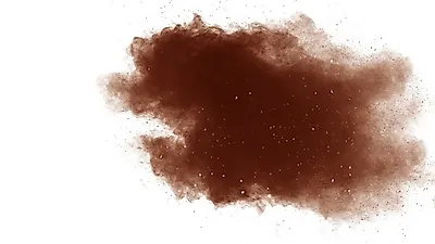 쌓이는 지방 분해하는 '시서스가루' 밤잠 설친다면 카페인 함량 확인, 시서스 효능 및 부작용은?