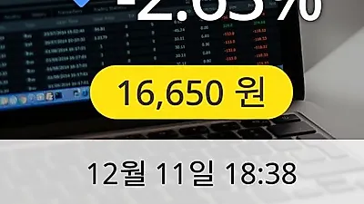 한세실업 11일 16,650원 마감