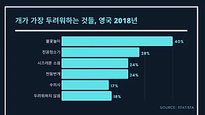 개가 시끄러운 소음을 무서워하는 이유