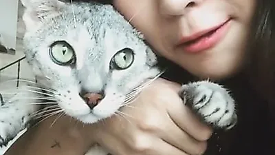 효린 반려묘 레고, 붙잡힌 채 눈만 '데굴데굴'