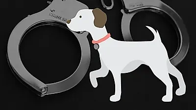임금 못 받은 30대 남자 '사장 애완견 학대'
