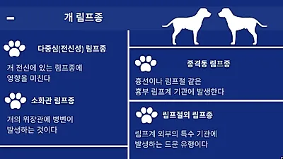 노령견일수록 위험 ‘개 림프종’ 대표 증상과 치료법