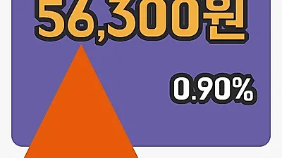 국내주식마감삼화콘덴서 10일 56,300원 장종료...