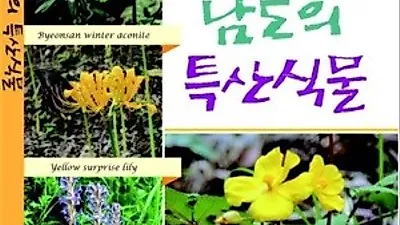 전남 자생 야생 희귀·특산 식물 100종 한눈에 본다